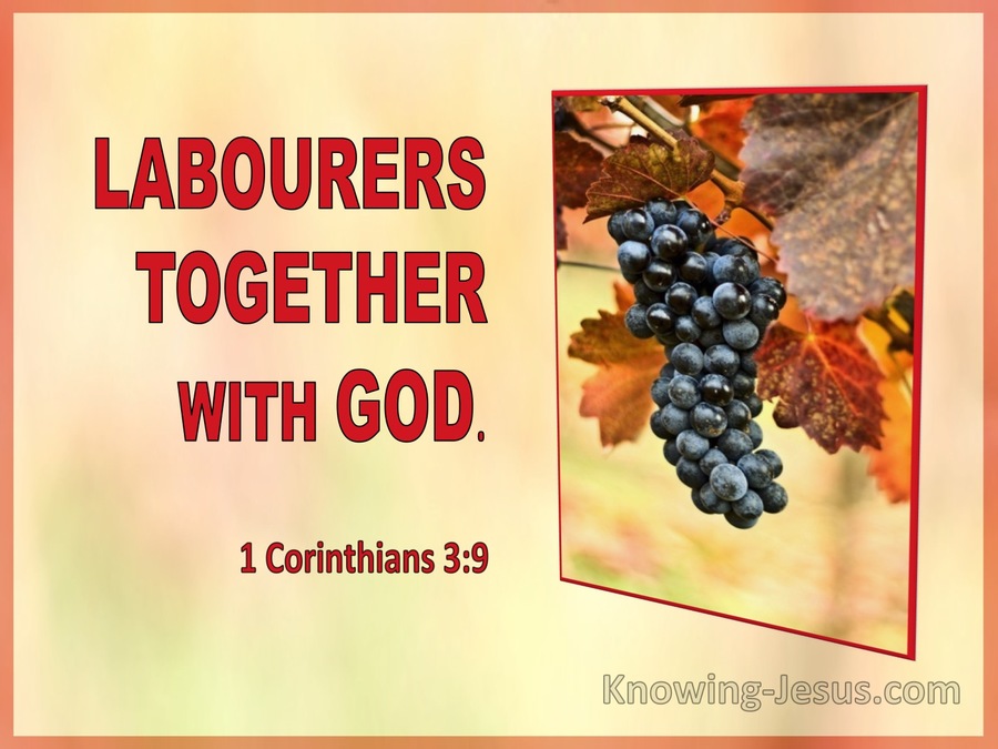 1 Corinthians 3:9 Labourers Together With God (utmost)04:23